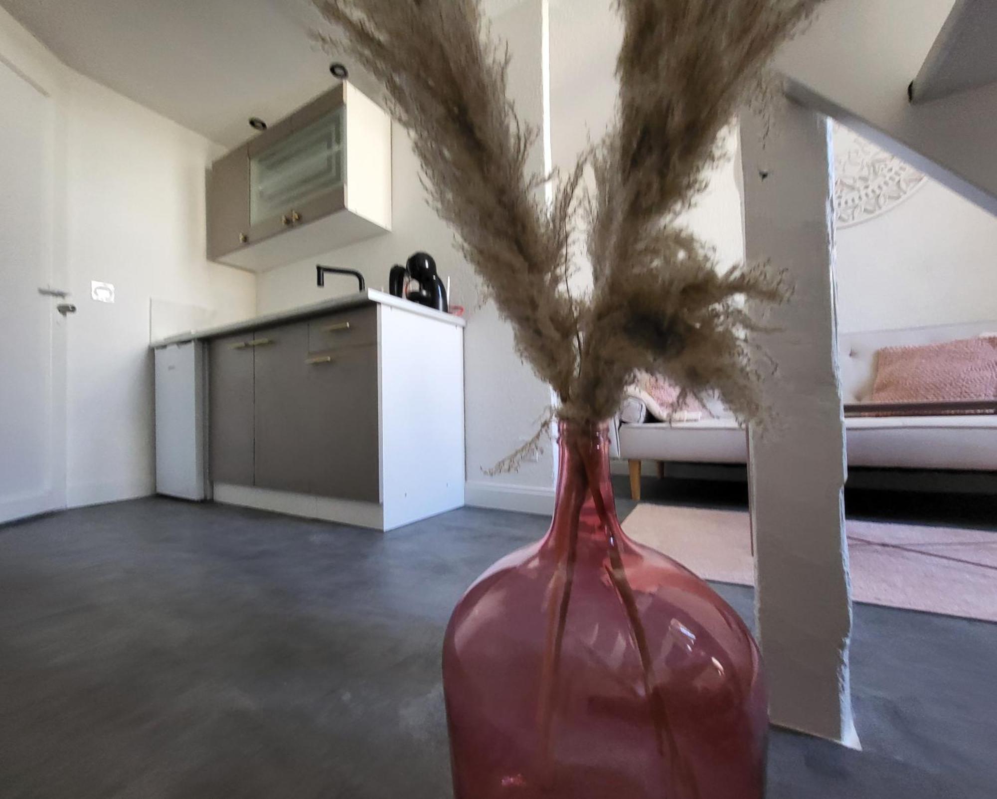 Agence Du Sacre Coeur Immobilier Perpignan Quarto foto